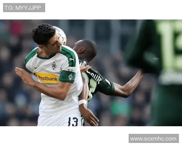 沃尔夫斯堡主场失利，霍芬海姆展现强势实力